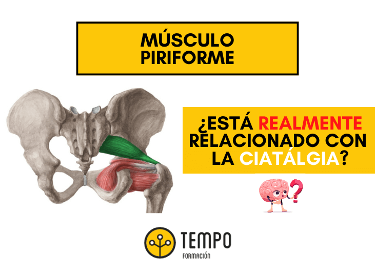 musculo-piriforme-y-ciatalgias