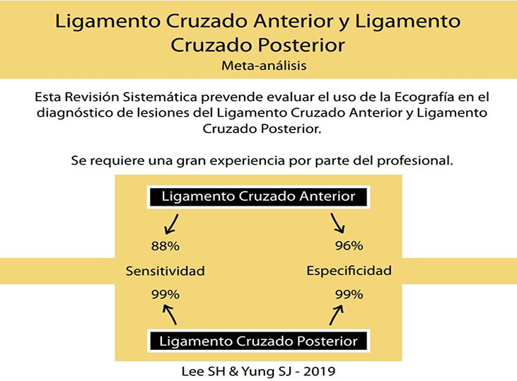 meta-analisis-lca-y-pcl