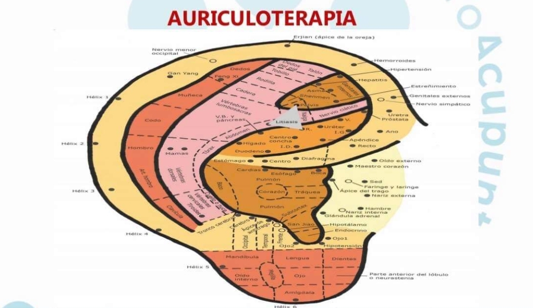 Auriculoterapia50.jpg